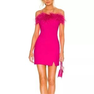 Likely brand pink feather dress purchased from Saks Fifth Avenue